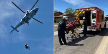 Hiker rescued after left in critical condition for being stung by bees over 100 times in Arizona