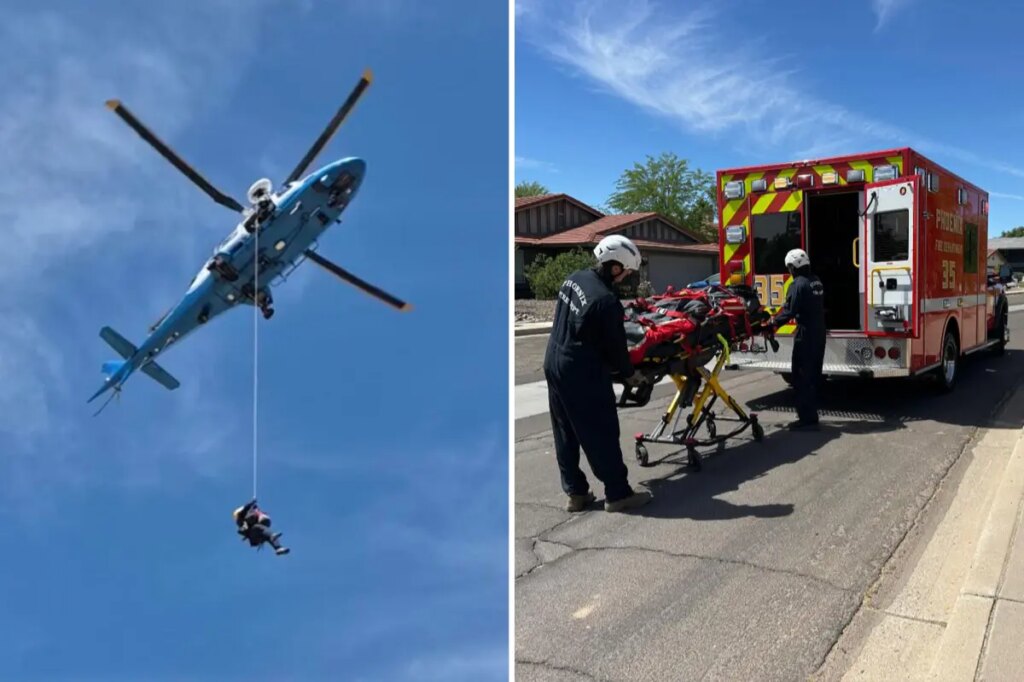 Hiker rescued after left in critical condition for being stung by bees over 100 times in Arizona