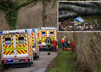 Easter egg hunt tragedy leaves young mother, her baby and teenager dead