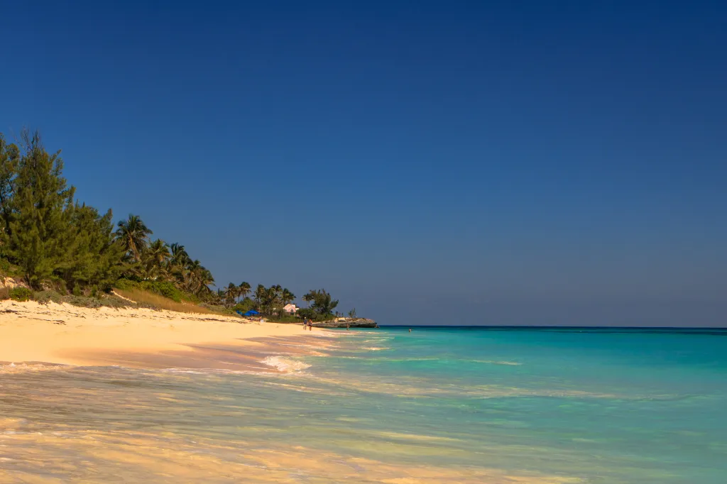 A beach on Elbow Cay with white sand, turquoise water, palm trees, and a clear blue sky.