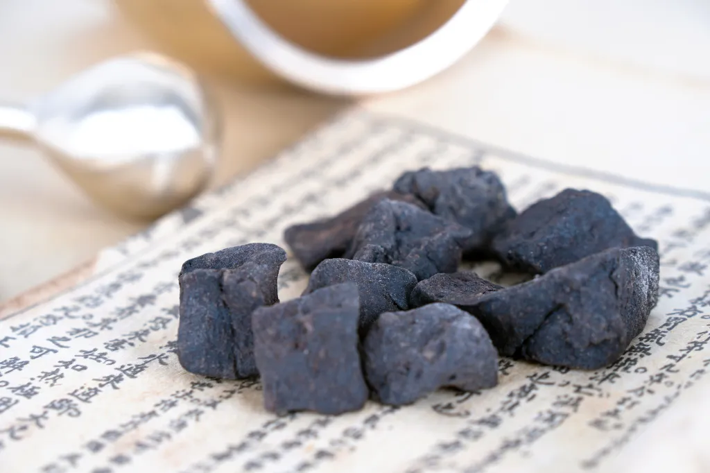 Polygonum multiflorum (He Shou Wu) on traditional Chinese medical texts, with a silver pestle and a cup of herbal tea in the background.