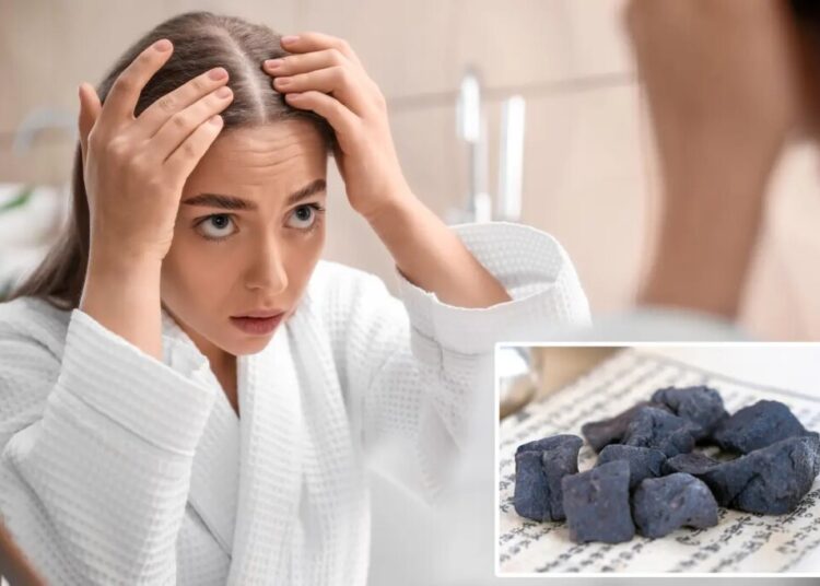 Ancient Chinese ‘hair blackening’ herb may fight balding naturally