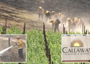 Horrifying wildfire seen ripping toward stunning SoCal winery — cops say it was lit on purpose