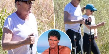 David Hasselhoff, 73, seen on rare outing with wife Hayley Roberts