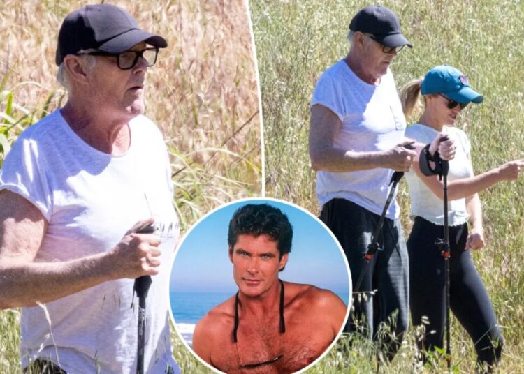 David Hasselhoff, 73, seen on rare outing with wife Hayley Roberts