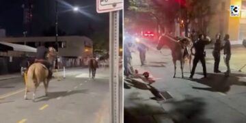 Horrifying video shows horse being smashed by car and launched into the air after cruel stunt epically fails