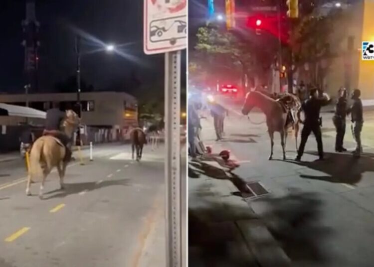 Horrifying video shows horse being smashed by car and launched into the air after cruel stunt epically fails