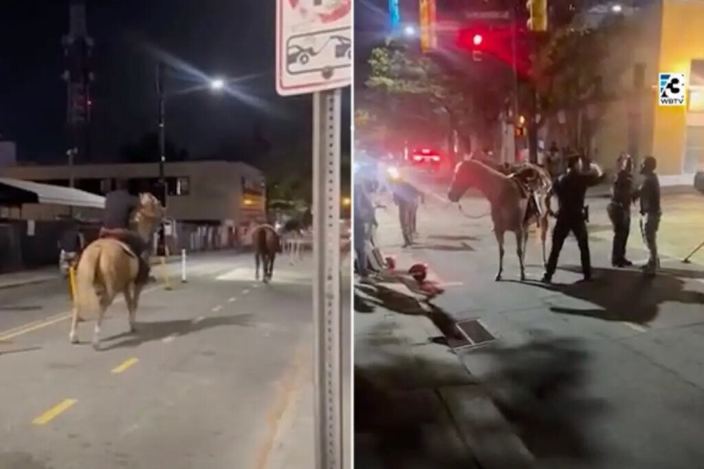 Horrifying video shows horse being smashed by car and launched into the air after cruel stunt epically fails