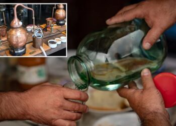 US appeals court declares 158-year-old home distilling ban unconstitutional