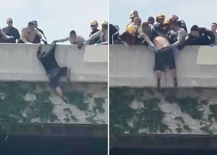 Heart-stopping moment rescuers swoop in on man trying to jump from LA overpass