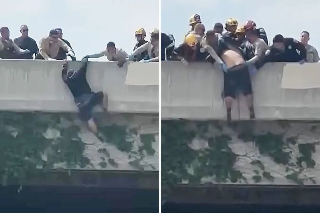Heart-stopping moment rescuers swoop in on man trying to jump from LA overpass