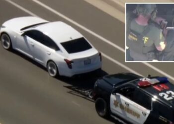 Elite cop caught swiping on dating app during fatal standoff where Batman-like gadget deployed