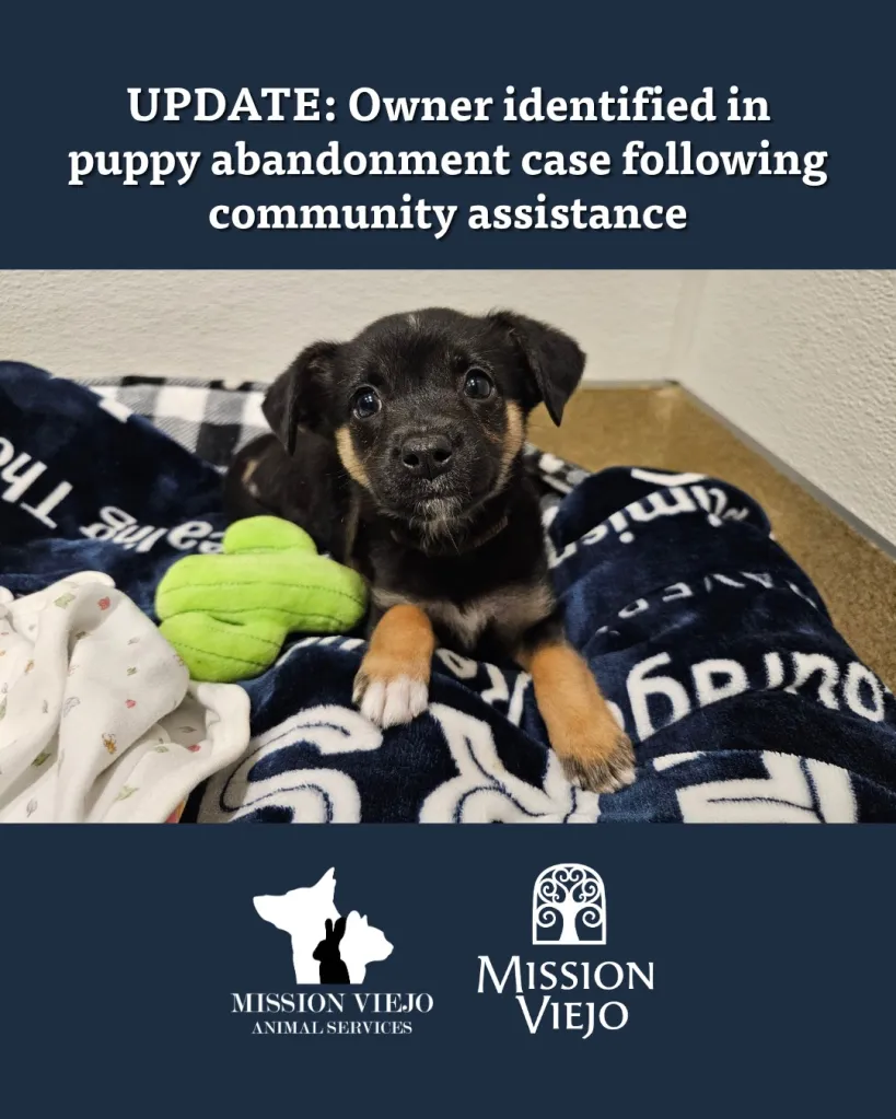 A puppy lying on a blanket with a green toy next to it, with text announcing an update on a puppy abandonment case.