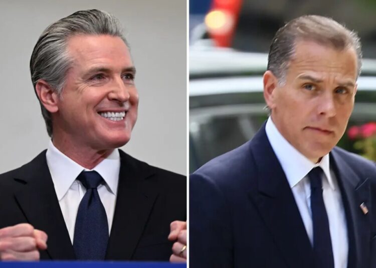 Hunter Biden trashes Democratic leadership, hails Gavin Newsom as party’s ‘greatest warrior’