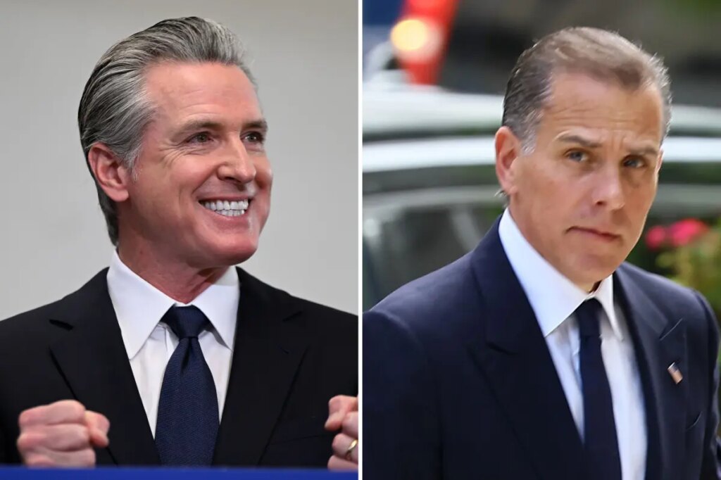 Hunter Biden trashes Democratic leadership, hails Gavin Newsom as party’s ‘greatest warrior’