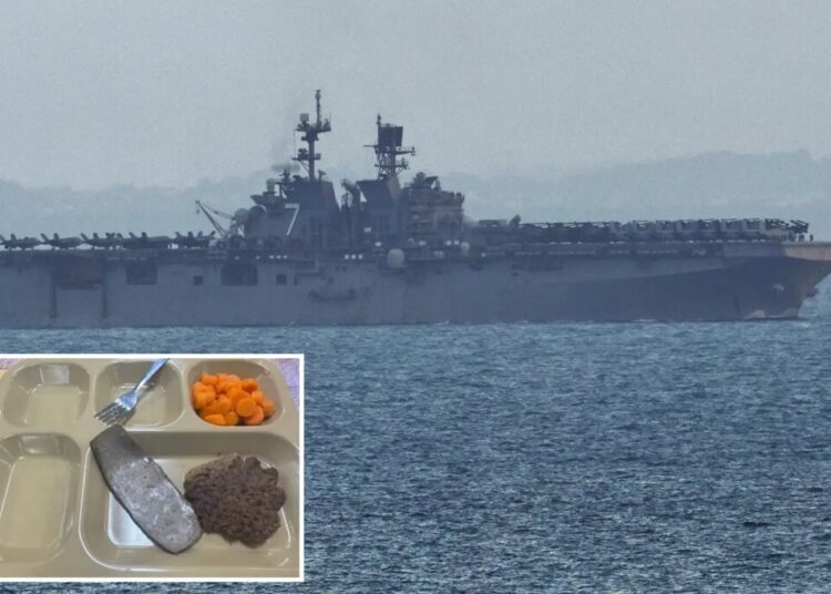 Navy denies ‘poor quality’ food on warships deployed to Middle East after viral photos of ‘rationed slop’