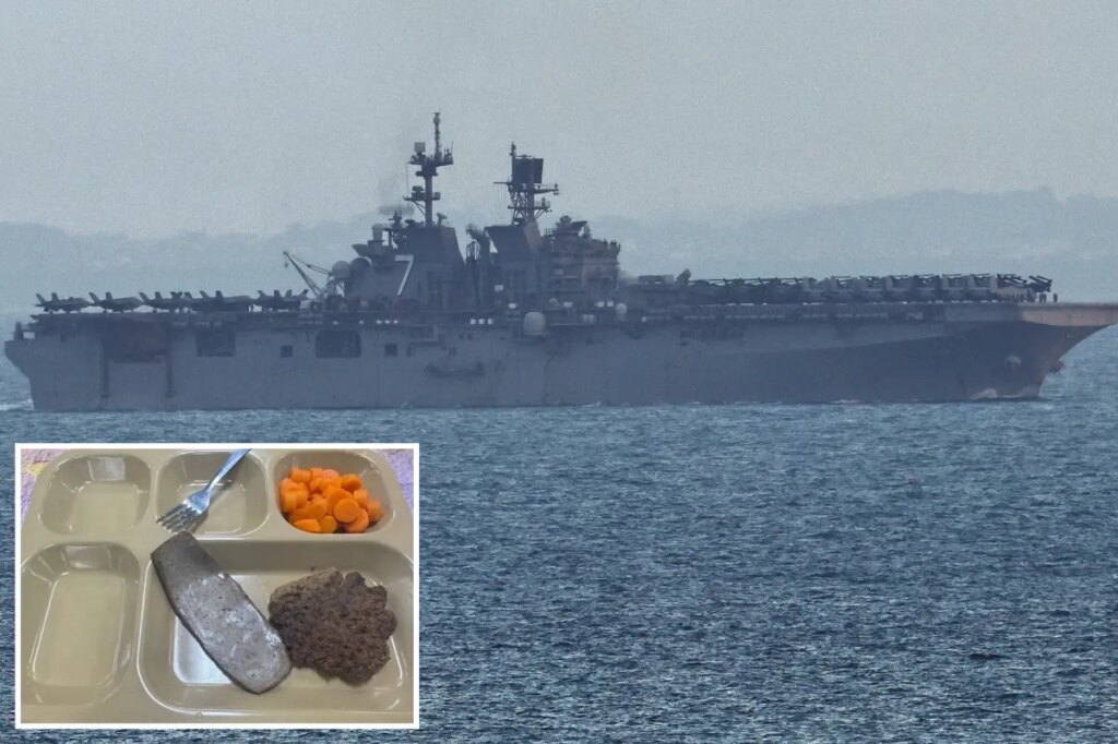 Navy denies ‘poor quality’ food on warships deployed to Middle East after viral photos of ‘rationed slop’