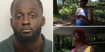 Georgia Navy vet ‘had argument with roommate’ before shooting spree that left two dead
