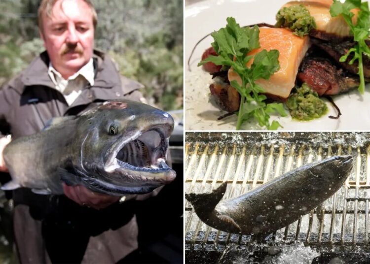 California delicacy unavailable for 3 years will soon be back on the menu