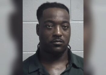 ‘Despicable’ sicko admits he torched dog to death using rum in twisted revenge livestream