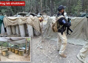 Two US Embassy officials among four killed in Mexico car crash after shutting down drug lab