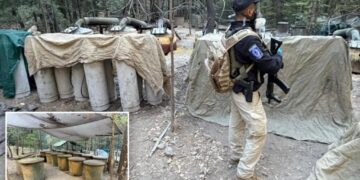 Two US Embassy officials among four killed in Mexico car crash after shutting down drug lab