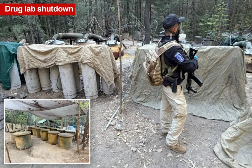 Two US Embassy officials among four killed in Mexico car crash after shutting down drug lab