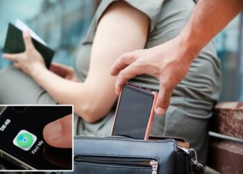 Smartphone pickpockets can easily block access lost device location tools — here’s the hack to stop them