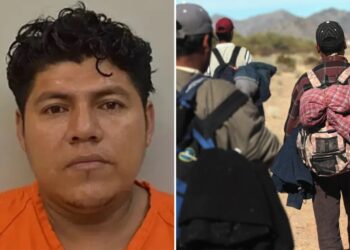 Honduras national who pleaded guilty to raping 12-year-old relative is illegal immigrant, DHS says