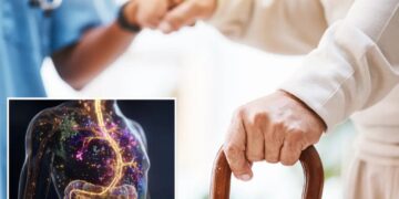 The hidden signs in your gut that may indicate Parkinson’s disease before symptoms emerge