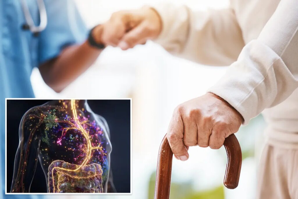 The hidden signs in your gut that may indicate Parkinson’s disease before symptoms emerge