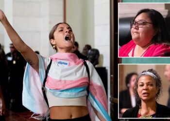 Cop-hating activists handed City Hall stage as angry residents shut out of $14.9B budget showdown