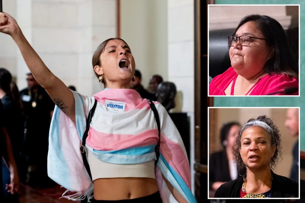 Cop-hating activists handed City Hall stage as angry residents shut out of $14.9B budget showdown