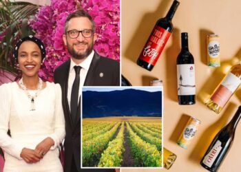 Ilhan Omar husband’s California winery suddenly closes amid investigation into her finances