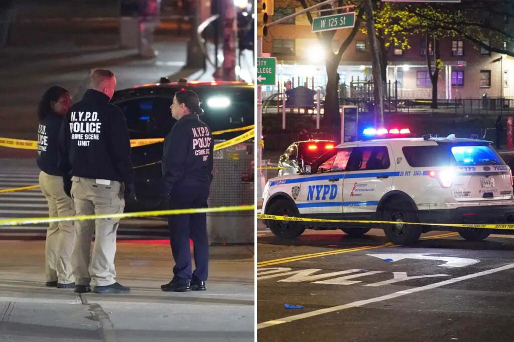 NYPD cop opens fire on career criminal who shot man outside NYC store in ambush-style attack