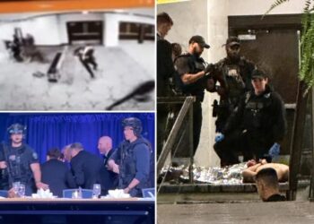 Dramatic video shows gunman trying to rush past security at White House Correspondents’ Dinner