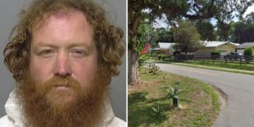 Florida man allegedly shot woman in neck, dragged her back inside before hiding in backyard pool