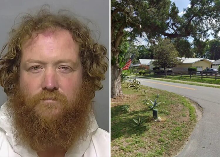 Florida man allegedly shot woman in neck, dragged her back inside before hiding in backyard pool