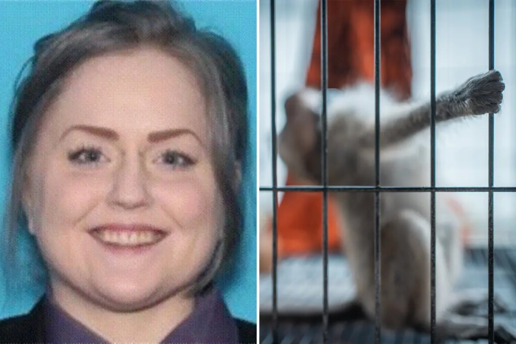 Sicko pleads guilty to paying for sexual torture videos involving monkeys for online group: ‘Sick person’