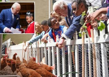 King Charles visits urban farm, feeds chickens on rare NYC visit