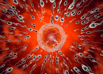 128 Men Are Competing for $100K in the Sperm Racing World Cup