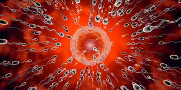 128 Men Are Competing for $100K in the Sperm Racing World Cup