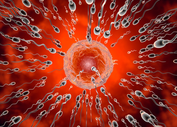 128 Men Are Competing for $100K in the Sperm Racing World Cup