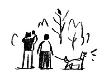 ‘I Saw a Buzzard on a Dead Tree Branch No More Than 20 Feet Away’