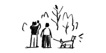 ‘I Saw a Buzzard on a Dead Tree Branch No More Than 20 Feet Away’