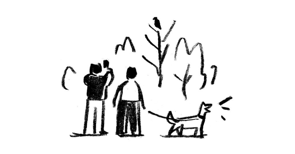 ‘I Saw a Buzzard on a Dead Tree Branch No More Than 20 Feet Away’