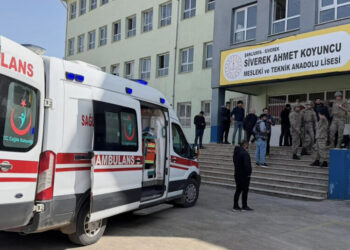 Ex-Student Opens Fire at High School in Turkey, Wounding 16