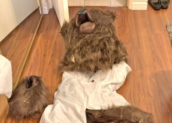 Humans Who Used a Bear Suit to Defraud Car Insurers Are Sentenced to Jail