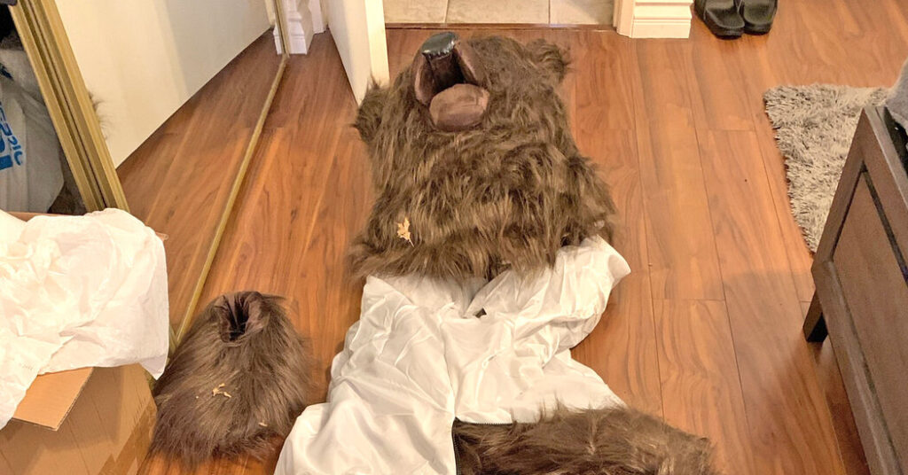 Humans Who Used a Bear Suit to Defraud Car Insurers Are Sentenced to Jail