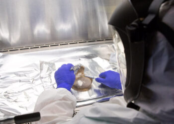 Nature Is Still Molding Human Genes, Study Finds